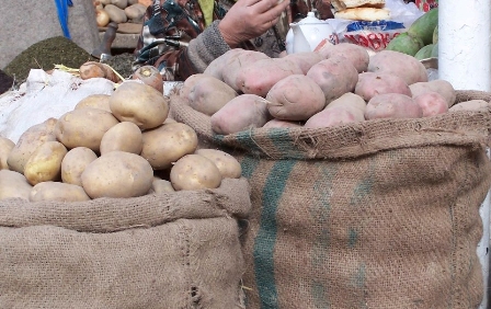 Пакистанская картошка вытеснила таджикскую. Почему? | Новости Таджикистана  ASIA-Plus