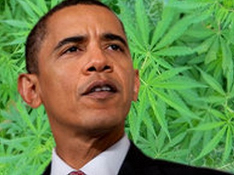 Обама марихуана обои hd марихуана