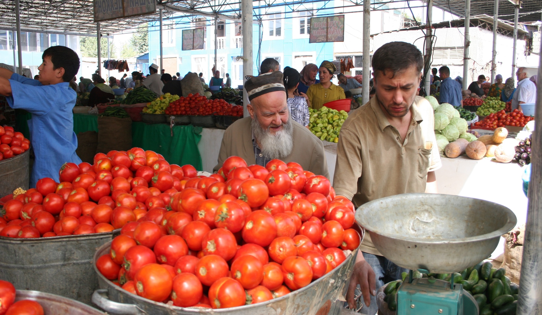 Таджик на рынке. Дулона в Таджикистане. Помидоры Таджикистан. Таджикистан рынок. Рынок картофель в Таджикистане.