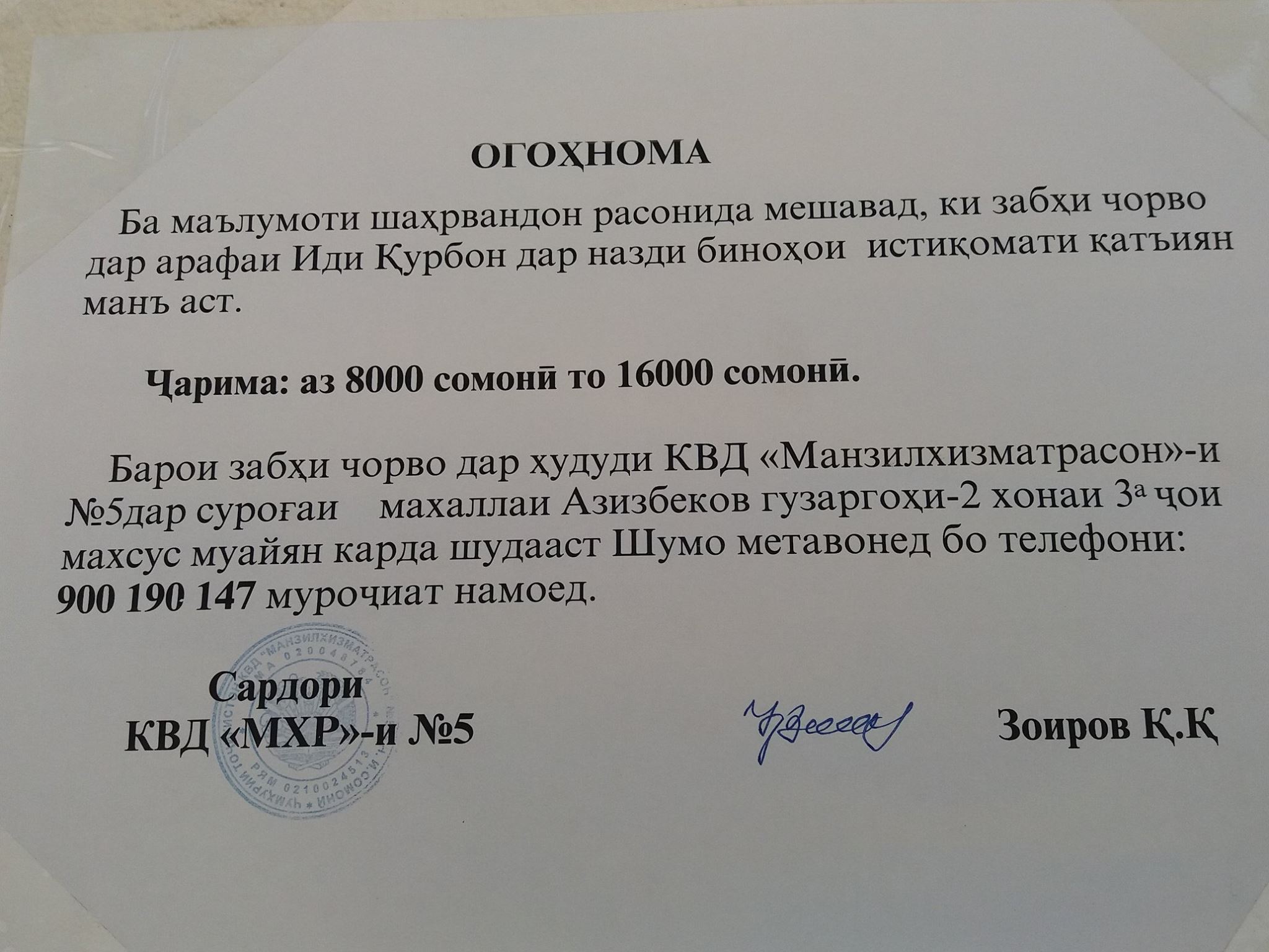 Душанбе: штраф за убой скота в неположенном месте до 2 тысяч долларов |  Новости Таджикистана ASIA-Plus