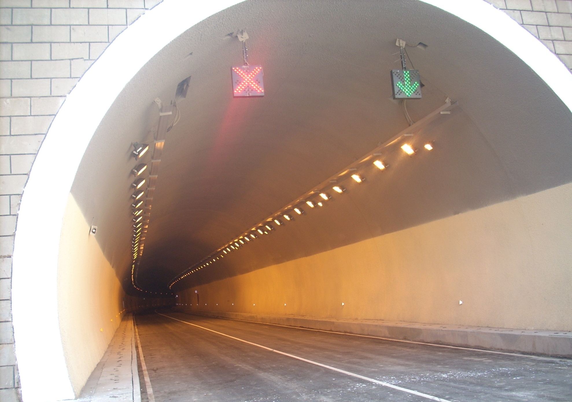 Suspended Net Tunnel