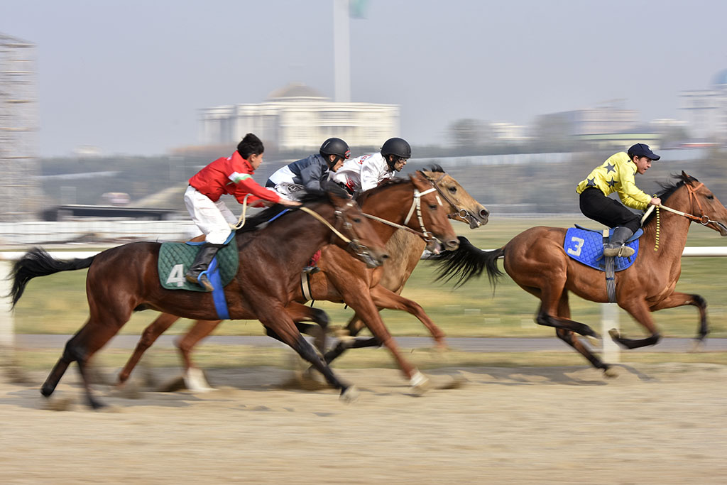 Horse race dedicated to President’s Day held in Dushanbe