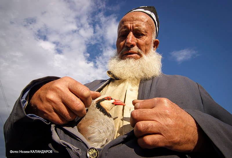 Таджикски салом. Таджикские старики. Таджикский дедушка с медведицей. Салам алейкум Таджикистан. Салом Таджикистан.