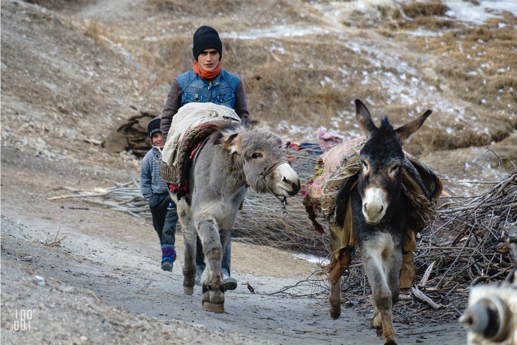 Жеке үй мұрағатындағы порно концерті