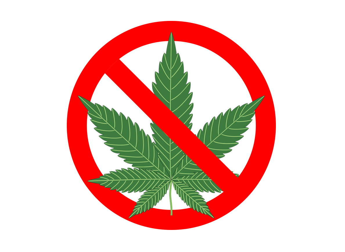против марихуаны
