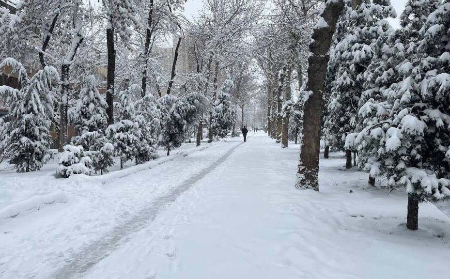 Завтра душанбе какой погода. Зима в парке картинки. Таджикистан зимой. Зимние парк снегопад фото. Холодная снег погода.