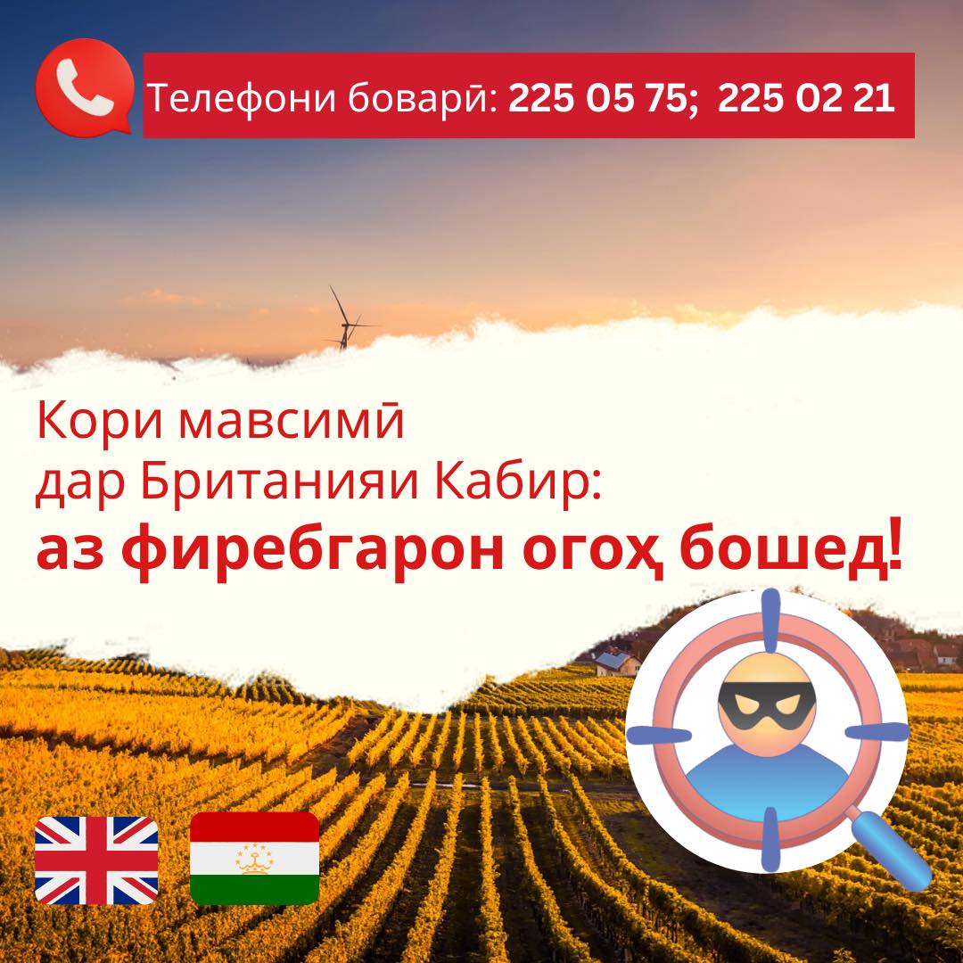 Посольство Великобритании в Таджикистане предупредило о фейковых предложениях о работе в этой стране 