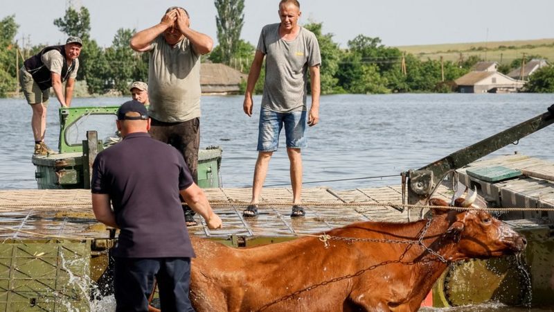 Дтп в китае последствия