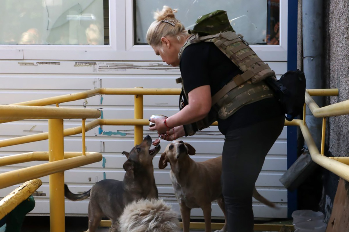 В Украине спасают животных от последствий войны, в мирном Таджикистане  продолжают над ними издеваться | Новости Таджикистана ASIA-Plus