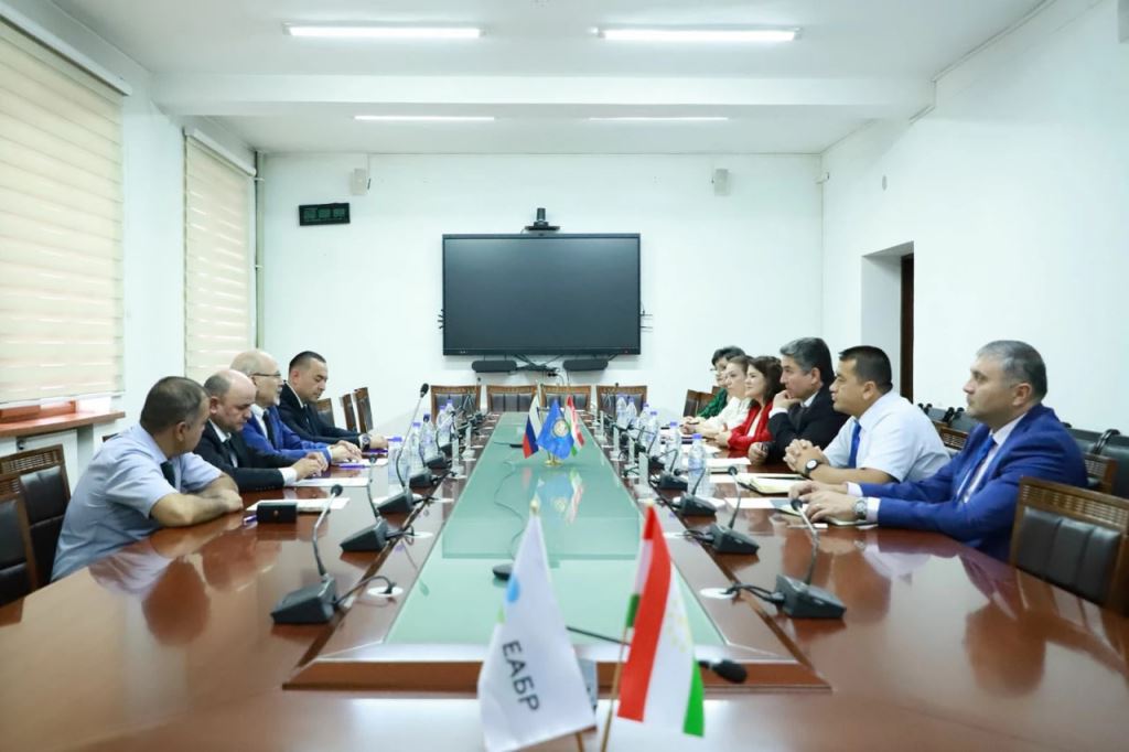 The EDB will support the development of public-private partnerships in Tajikistan
