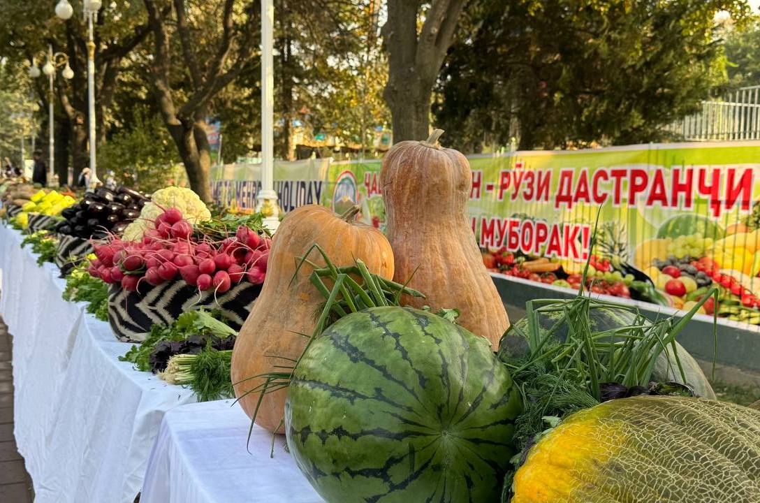 Таджикистан нарастил экспорт сельхозпродукции на 40% в 2025 году