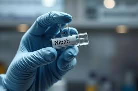 WHO assesses Nipah virus spread risk as low, no travel restrictions recommended