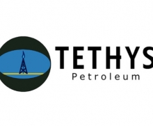 В Узбекистане началась проверка деятельности Tethys Petroleum Ltd.