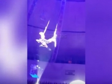 Падение гимнастки в цирке в Душанбе попало на видео