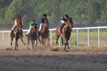 Скачки в Душанбе: «Рахш» оказался быстрее всех