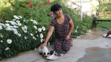 Раненые и забитые: как жительница Душанбе 10 лет спасала животных