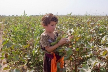 Где и кем трудятся таджикские дети