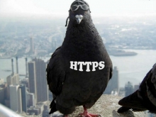 «Продаю голубей почтовых»: реакция соцсетей на повышение стоимости интернета в Таджикистане