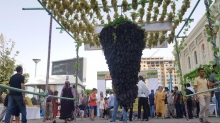 Гроздь с человеческий рост: как отметили в Душанбе праздник винограда