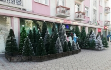 Где в Душанбе установлены новогодние ёлки и как город готовится встретить Новый год