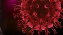 Число случаев заражения коронавирусом в мире превысило миллион