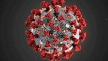 Китай опроверг версию об искусственном происхождении коронавируса
