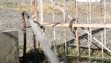 Как отучить таджикистанцев мыть машины и ковры во дворах?