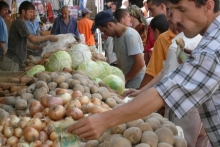 Представитель ФАО о влиянии пандемии на продовольствие в Таджикистане