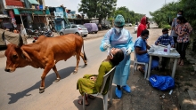 Индия: Вакцина от COVID-19 может быть готова к декабрю