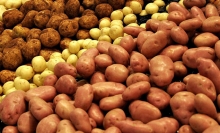 Тендер: MSDSP ищет заинтересованных лиц в поставке семенного картофеля в районы Хатлона
