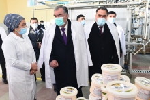 От  маргарина до гренок. Какие предприятия открыл президент сегодня в Согде