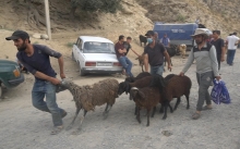 Накануне Курбана: узнали цены на скотину и что покупали таджикистанцы