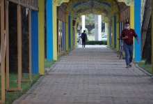 Коронавирус в Таджикистане: зарегистрирована одна смерть и 76 новых случаев COVID-19