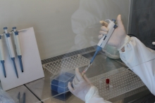 В Пенджикенте открылась вирусологическая лаборатория