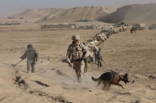 ОДКБ проведет военные учения в Центральной Азии на фоне событий в Афганистане