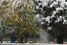 Первый снег в  Душанбе: тающее великолепие
