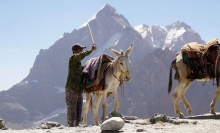 Прозрачные озера и древние крепости: Каким Таджикистан видят туристы?