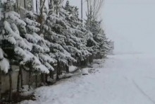 В Афганистане из-за резкого похолодания и снегопадов погибли не менее 20 человек