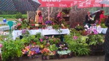 Благотворительная выставка цветов «Неки Бикор»: дождь не помеха душанбинцам