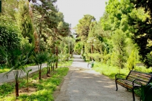 Ботаническому саду в Худжанде исполнилось 70 лет