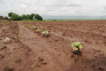 В Таджикистане утвердили новую программу по освоению земель